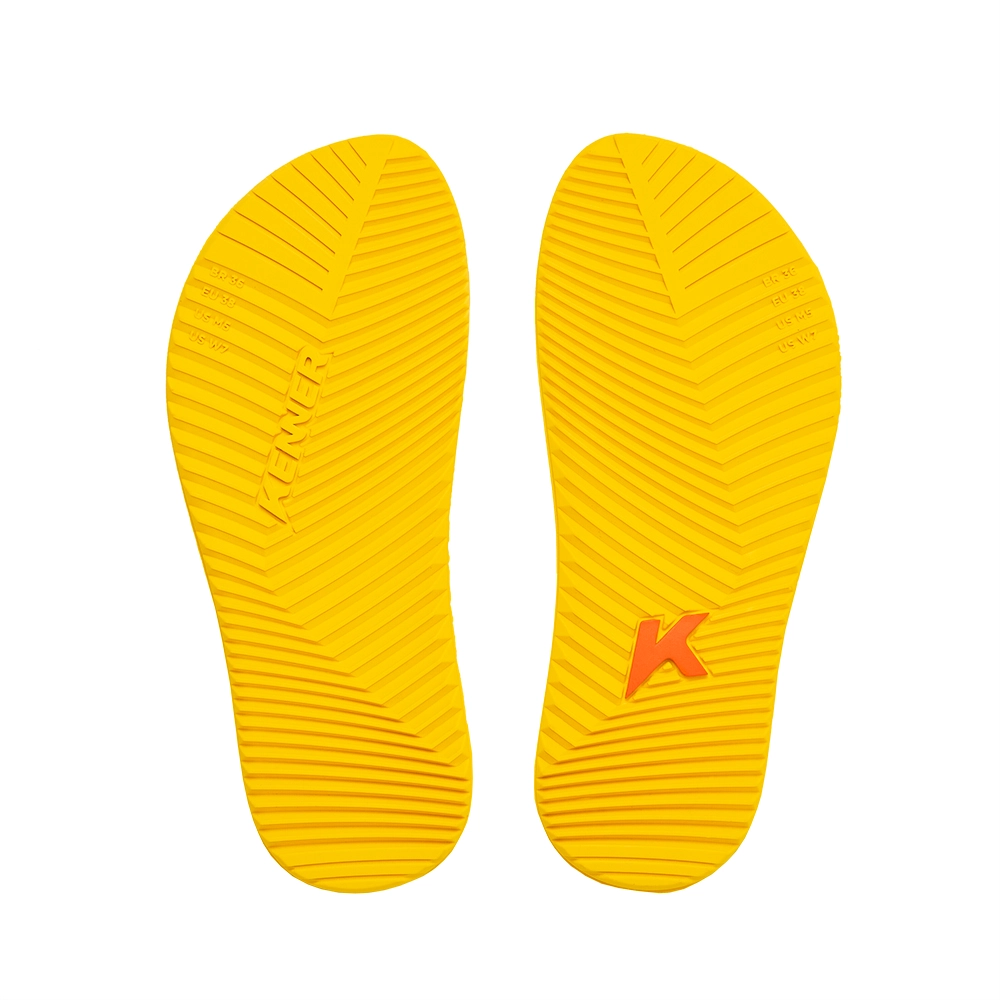 DNN_05_V3_FE_FD copiar (1)